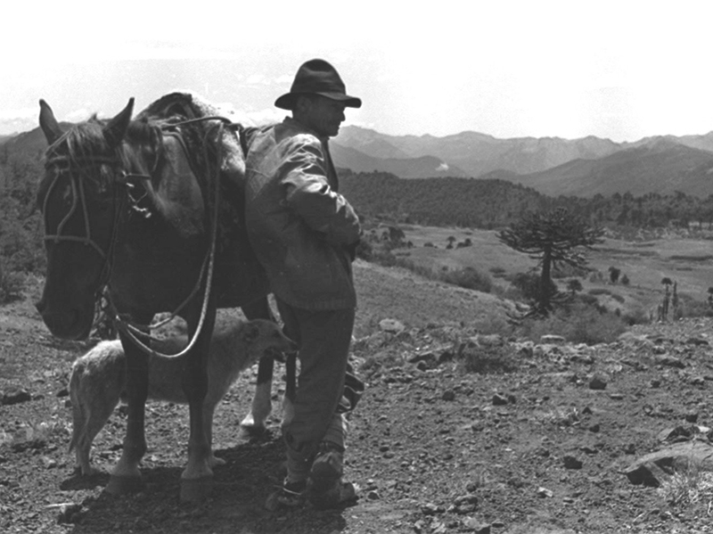 El Arriero según Patricio Manns